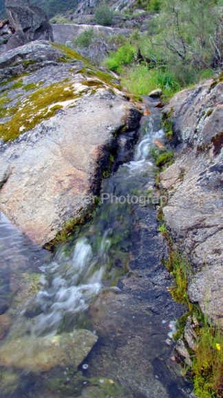 http://www.sandlerphotography.com/Photos/Yosemite May 2010 626 -2 -LR.JPG